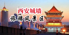 毛茸茸X乂中国陕西-西安城墙旅游风景区